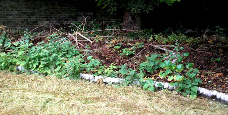 Garden Clearance Ealing W5