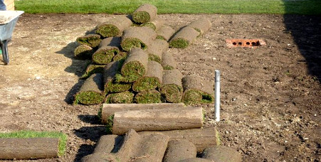 Landscaping Acton W3